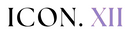Translation missing: en.ICON XII accessibility.home